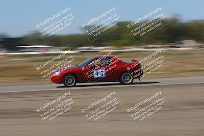 media/Oct-04-2025-OnGrid (Sat) [[44bd565ffa]]/Purple Group/Grapevine/